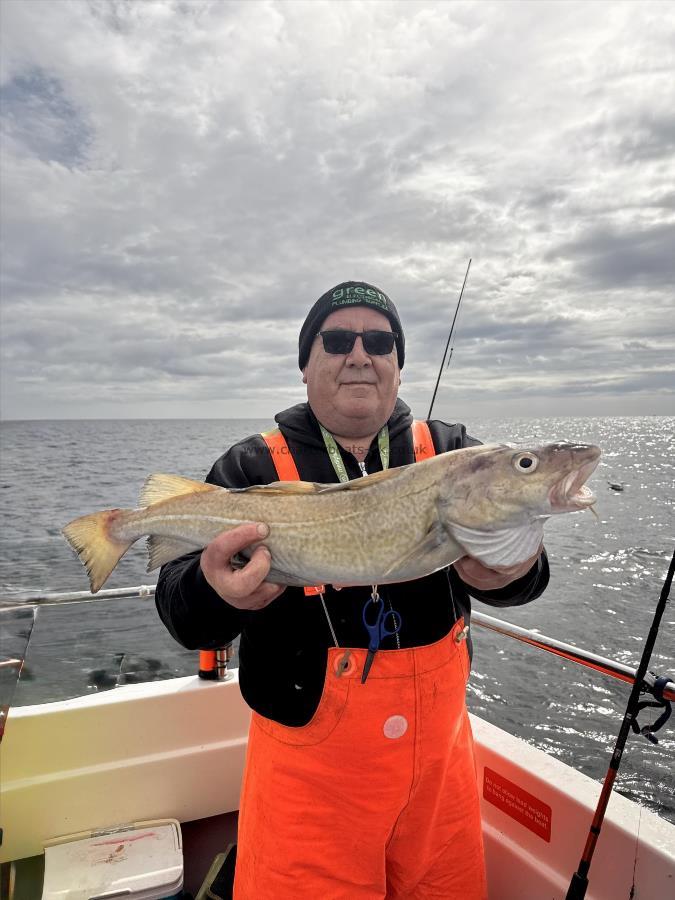 5 lb 8 oz Cod by Steve