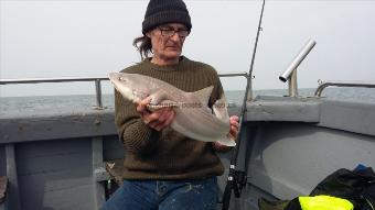 8 lb Starry Smooth-hound by Nigel