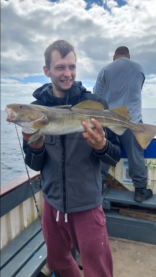 4 lb 8 oz Cod by Unknown