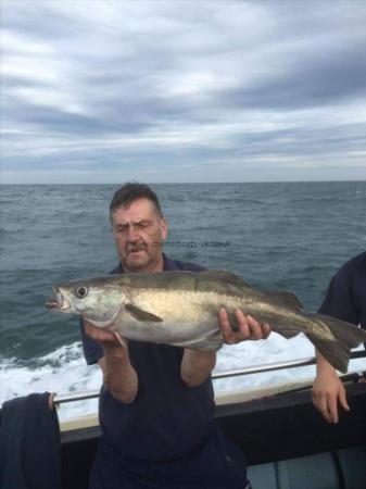 7 lb 9 oz Pollock by Unknown