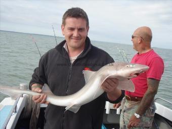 12 lb 6 oz Starry Smooth-hound by michael