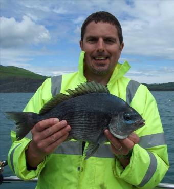 3 lb Black Sea Bream by Lee Page