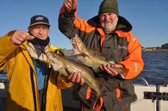 4 lb 6 oz Cod by Unknown