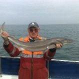 14 lb Spurdog by sea leopard