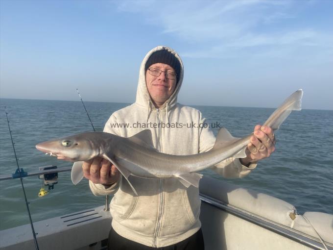 6 lb Smooth-hound (Common) by Unknown