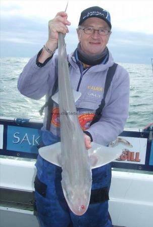 10 lb Smooth-hound (Common) by Andy Collings