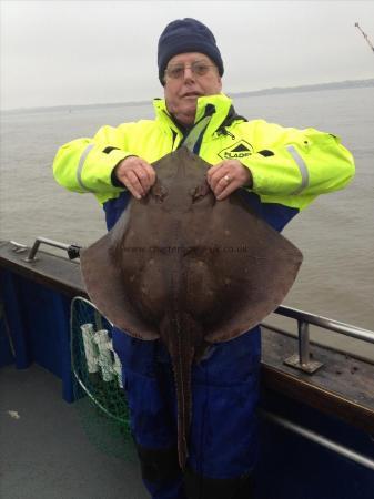 22 lb Blonde Ray by Unknown