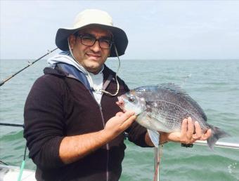 3 lb 10 oz Black Sea Bream by Juned Jable