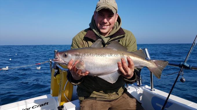 6 lb 10 oz Pollock by unknown