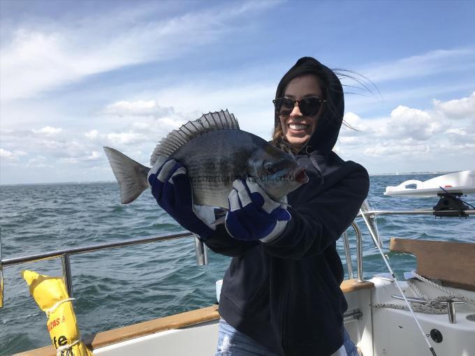 4 lb Black Sea Bream by Alex