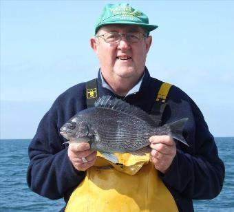 2 lb 8 oz Black Sea Bream by Gordon Edwards