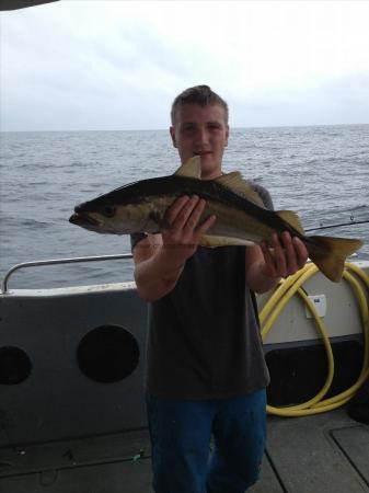 6 lb Pollock by Gav