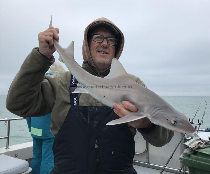 6 lb Smooth-hound by Unknown