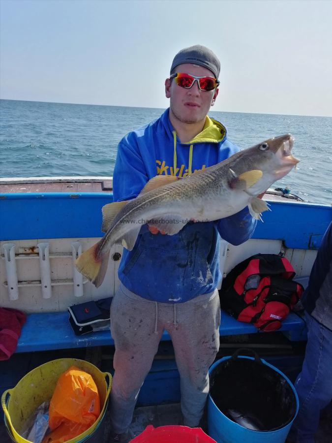 8 lb Cod by Unknown