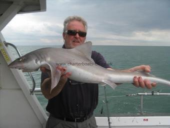 19 lb Smooth-hound (Common) by Chris Hiybes