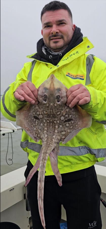 4 lb 1 oz Thornback Ray by Gary