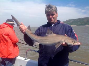 10 lb Smooth-hound (Common) by kevin ford