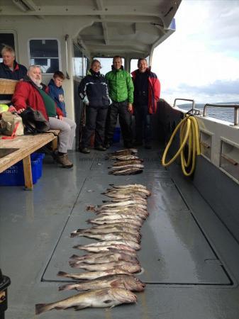10 lb Cod by 3 anglers from the west coast