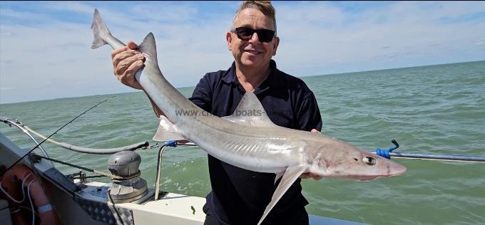 10 lb 6 oz Smooth-hound by Andy