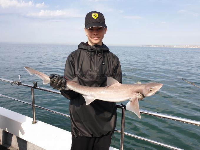 7 lb Starry Smooth-hound by Bob Marshall