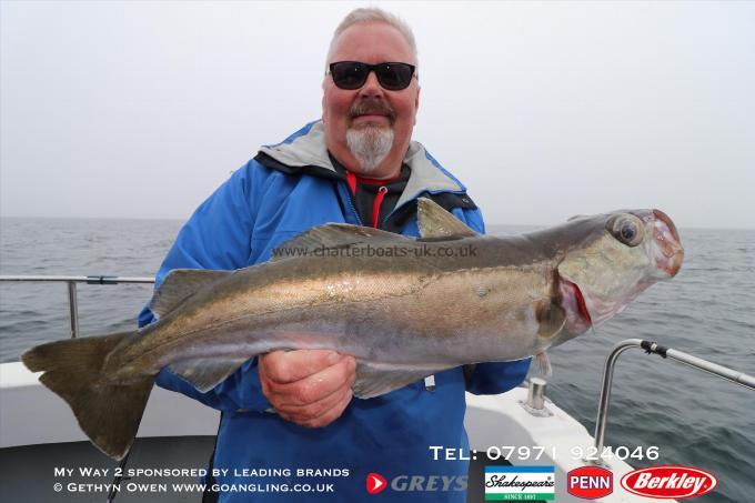 7 lb Pollock by Graham