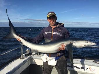 60 lb Blue Shark by Kevin McKie