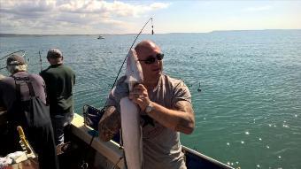 20 lb Conger Eel by Stephen Wake