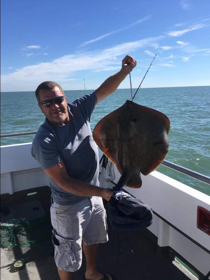 20 lb 4 oz Stingray (Common) by Unknown