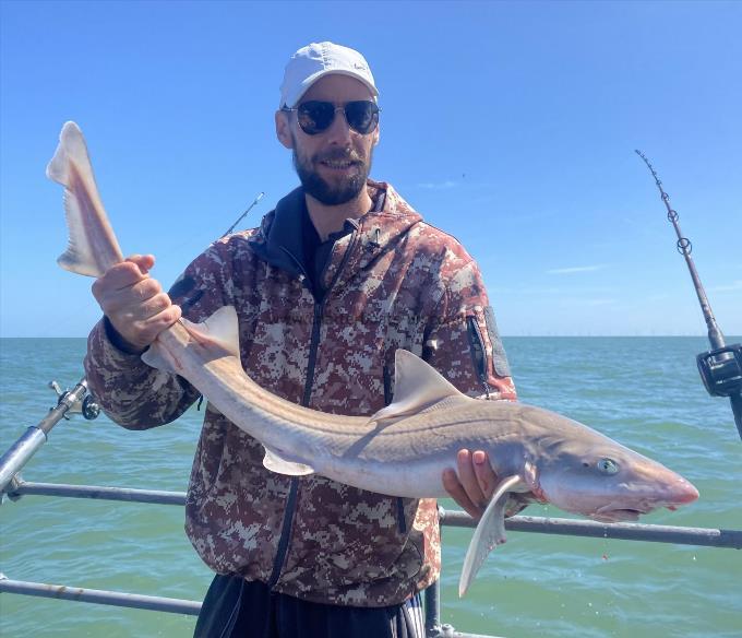 9 lb Smooth-hound (Common) by Unknown