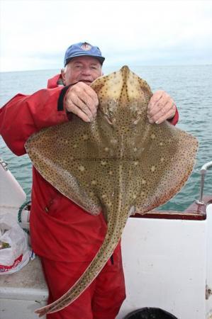 14 lb Blonde Ray by Colin