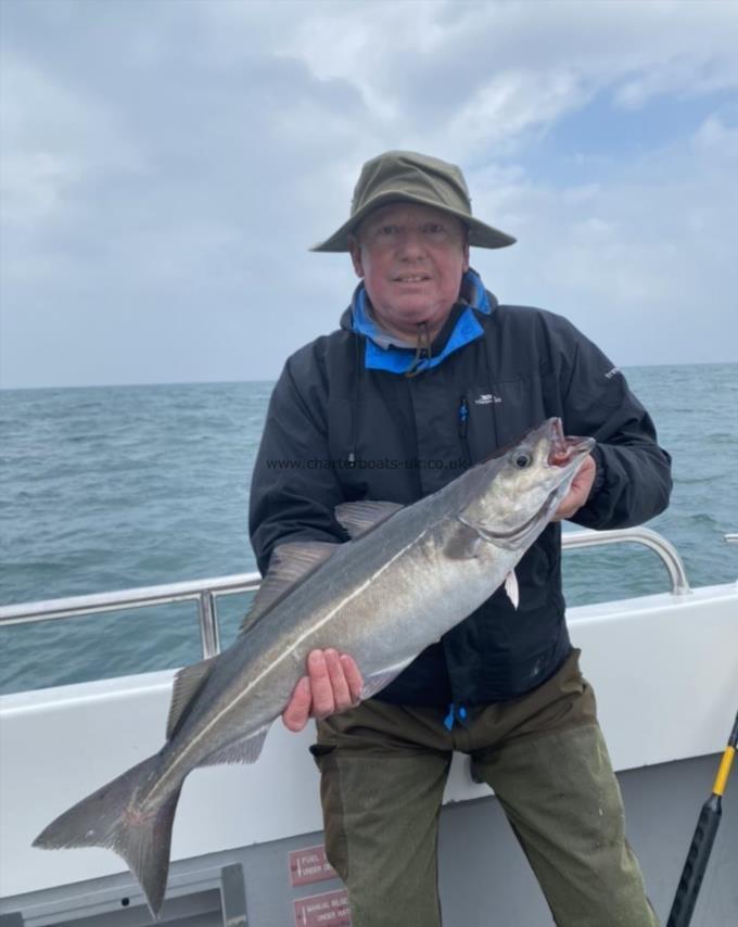 9 lb Coalfish (Coley/Saithe) by Unknown