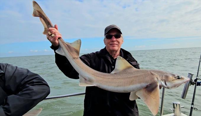 15 lb Starry Smooth-hound by Paul