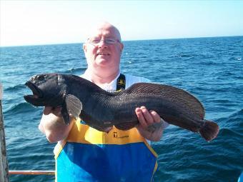 8 lb 4 oz Wolf Fish by bryan