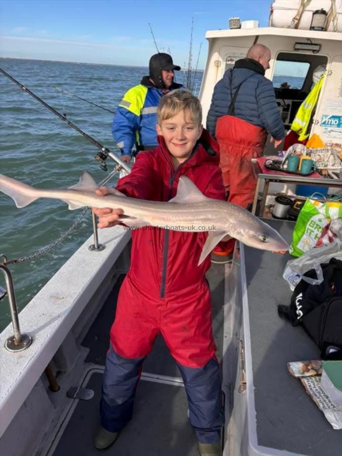 3 lb Smooth-hound by Harry