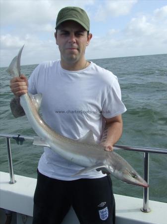 10 lb Smooth-hound (Common) by steve