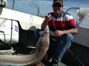 60 lb Conger Eel by Steve Collins