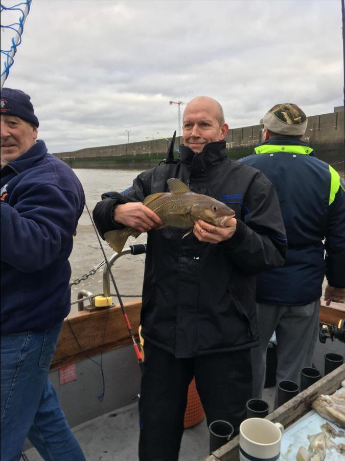 3 lb 5 oz Cod by Unknown