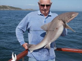 23 lb Smooth-hound (Common) by Greg Laycock