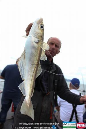 1 lb Whiting by Don