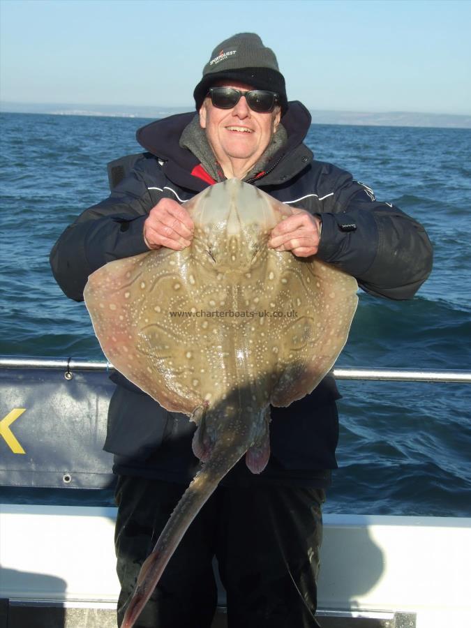 15 lb Undulate Ray by Paul Milkins