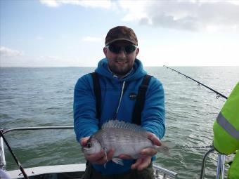 1 lb Black Sea Bream by Wojciech