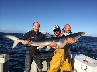 90 lb Blue Shark by Kevin McKie