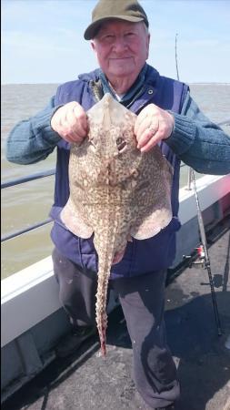 8 lb 6 oz Thornback Ray by Bob Marshall