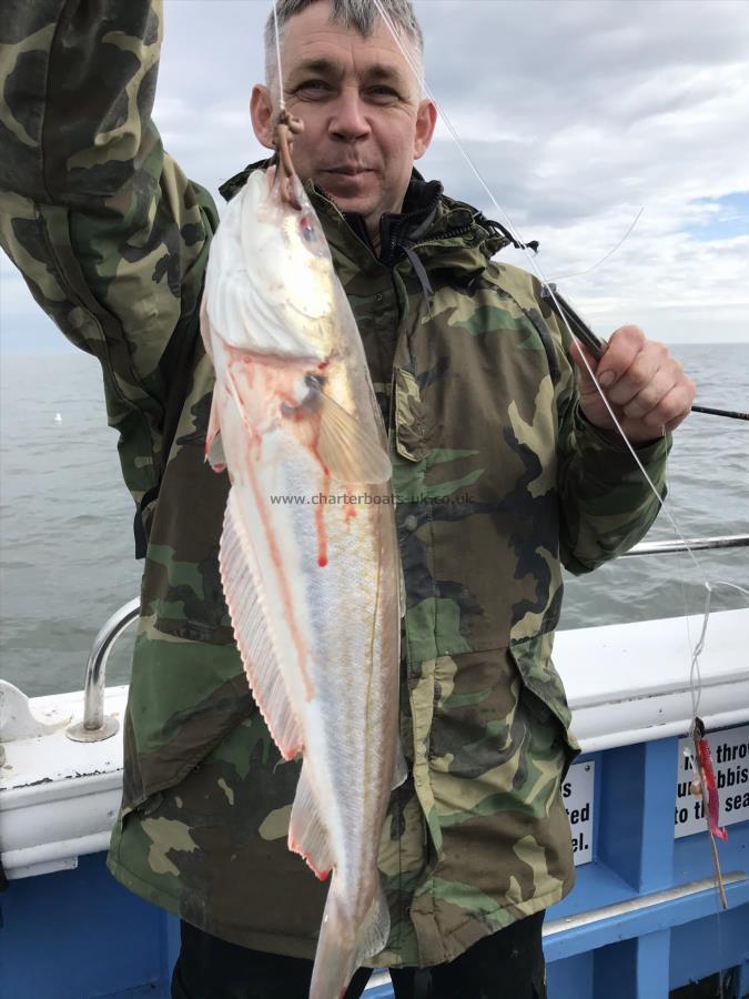 3 lb Whiting by Unsure