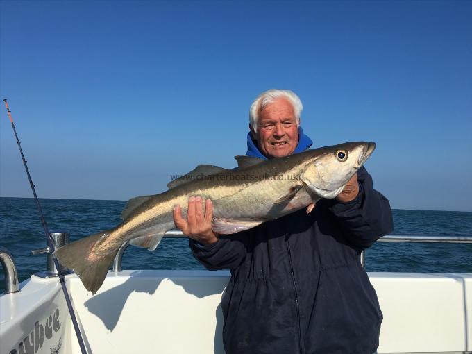 13 lb Pollock by Alan Parker