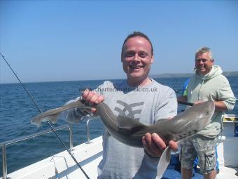 7 lb Starry Smooth-hound by Unknown