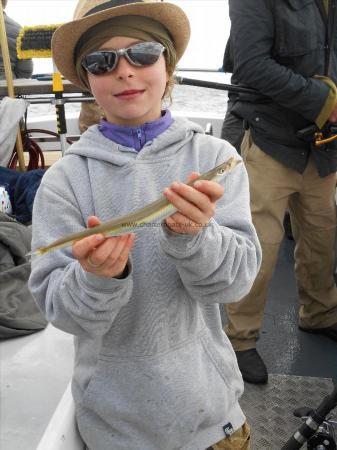 2 oz Sand Eel by Marys first sandeel!