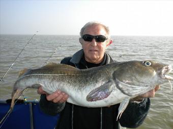 16 lb Cod by Stanley