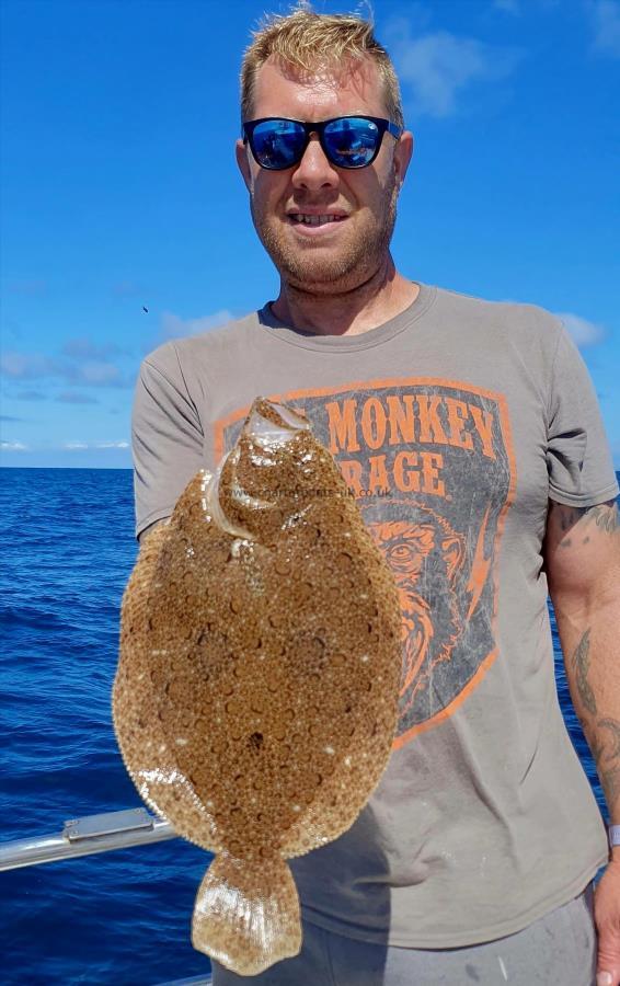 4 lb Brill by Shane