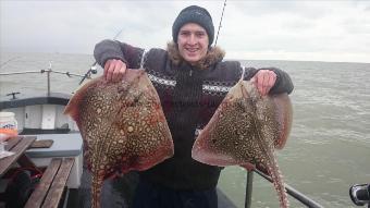 10 lb 4 oz Thornback Ray by dane from Kent